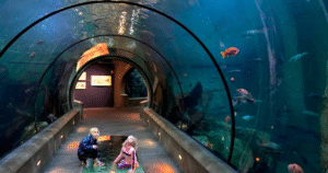 The importance of the best family vacation spots for every family.