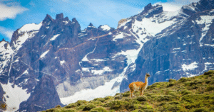 Beautiful Places to Visit in the Mountains
